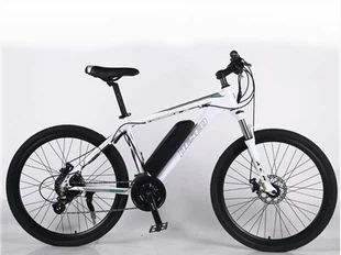Mountain Electric Bicycle 21 Speed Gear